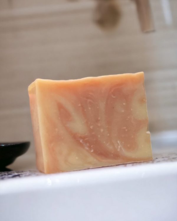 Shop Coconut Milk Body Soap Online